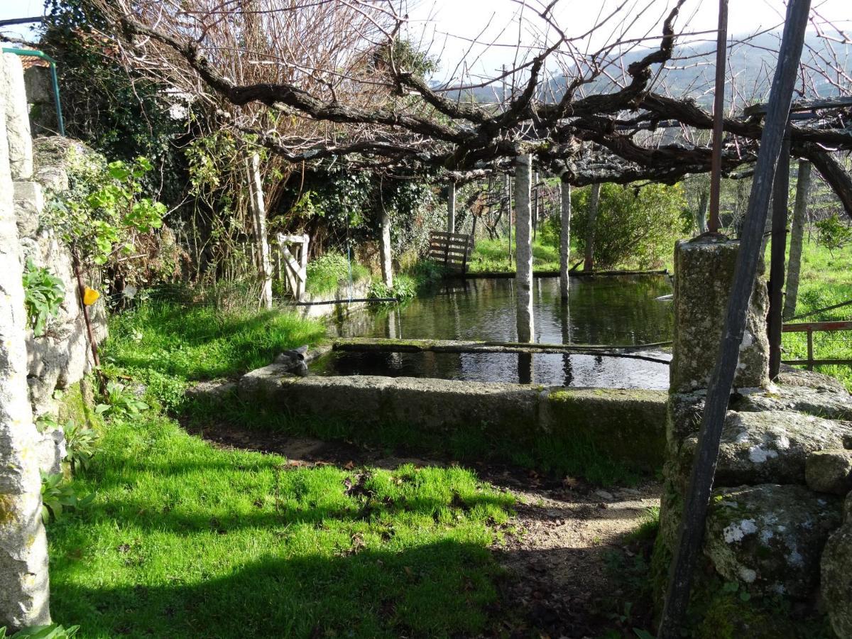 Quinta De S. Cipriano Villa Resende Dış mekan fotoğraf