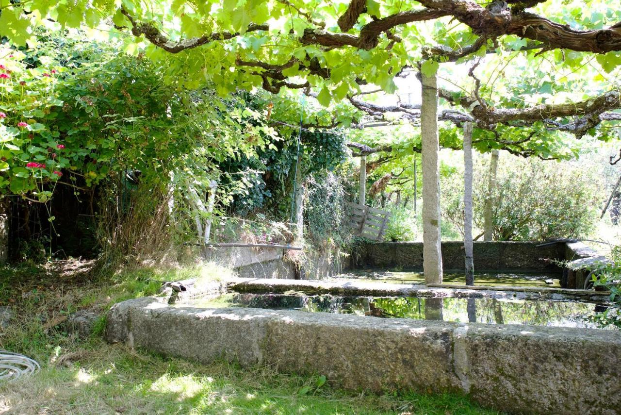 Quinta De S. Cipriano Villa Resende Dış mekan fotoğraf