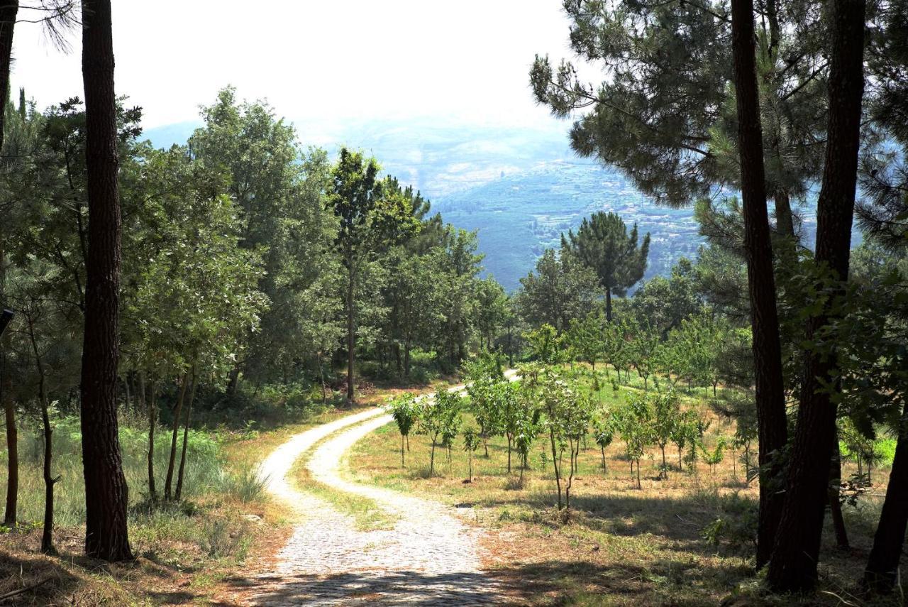 Quinta De S. Cipriano Villa Resende Dış mekan fotoğraf