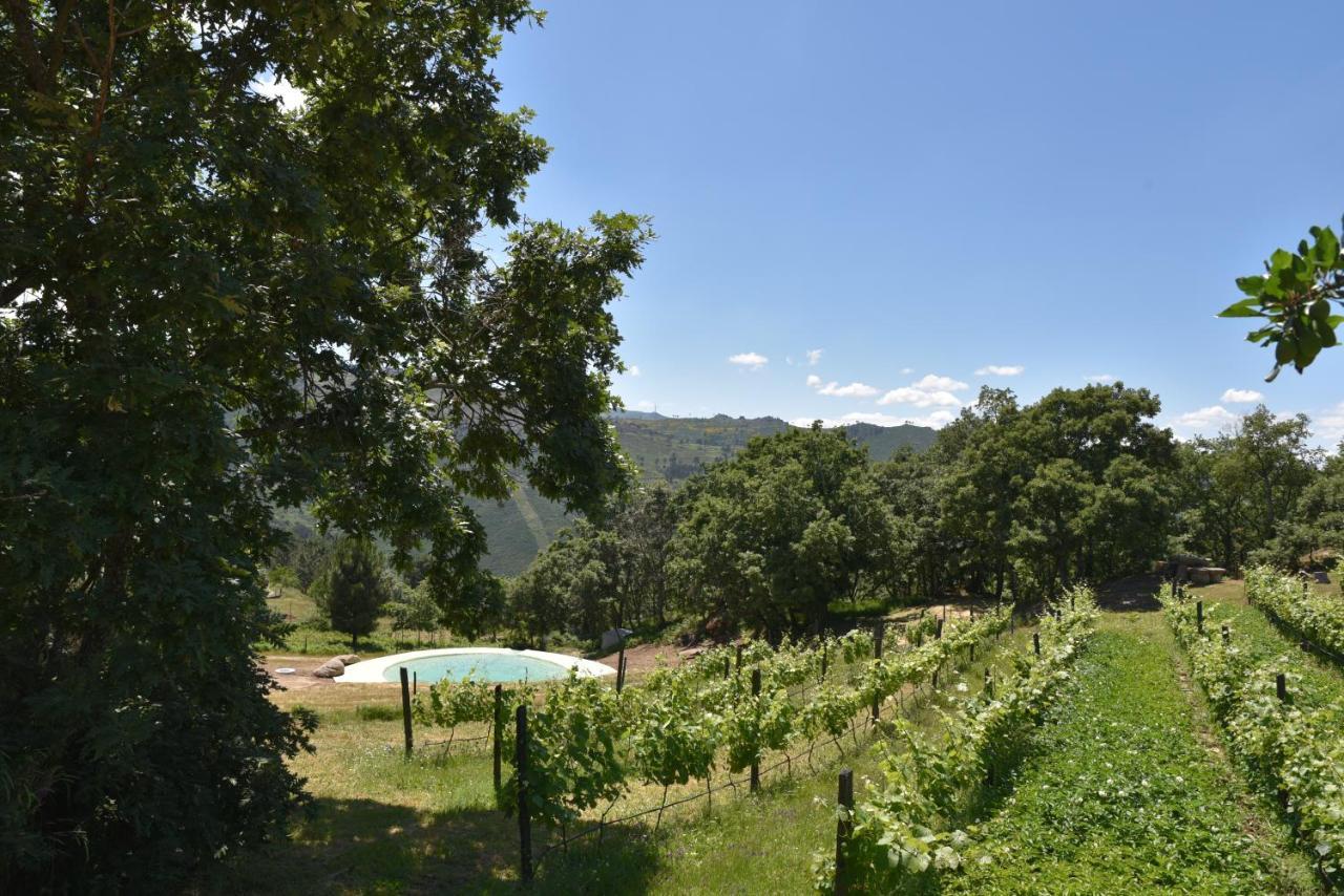 Quinta De S. Cipriano Villa Resende Dış mekan fotoğraf