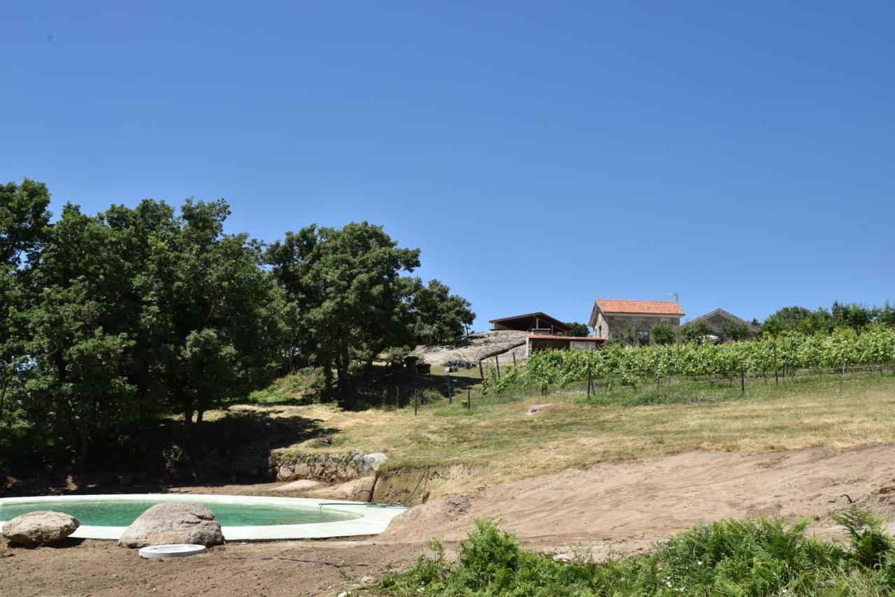 Quinta De S. Cipriano Villa Resende Dış mekan fotoğraf